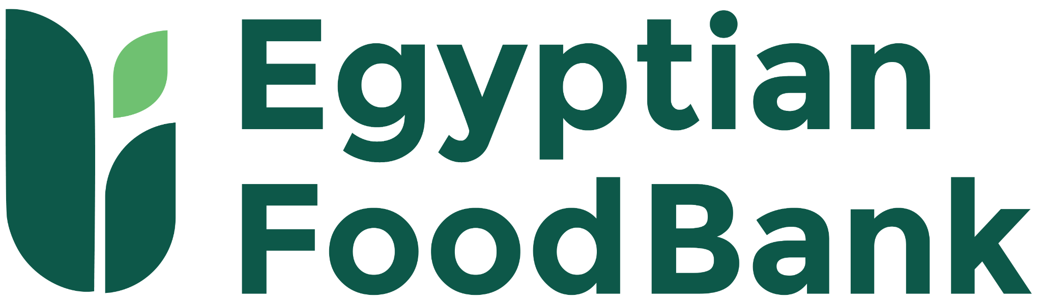 EFB